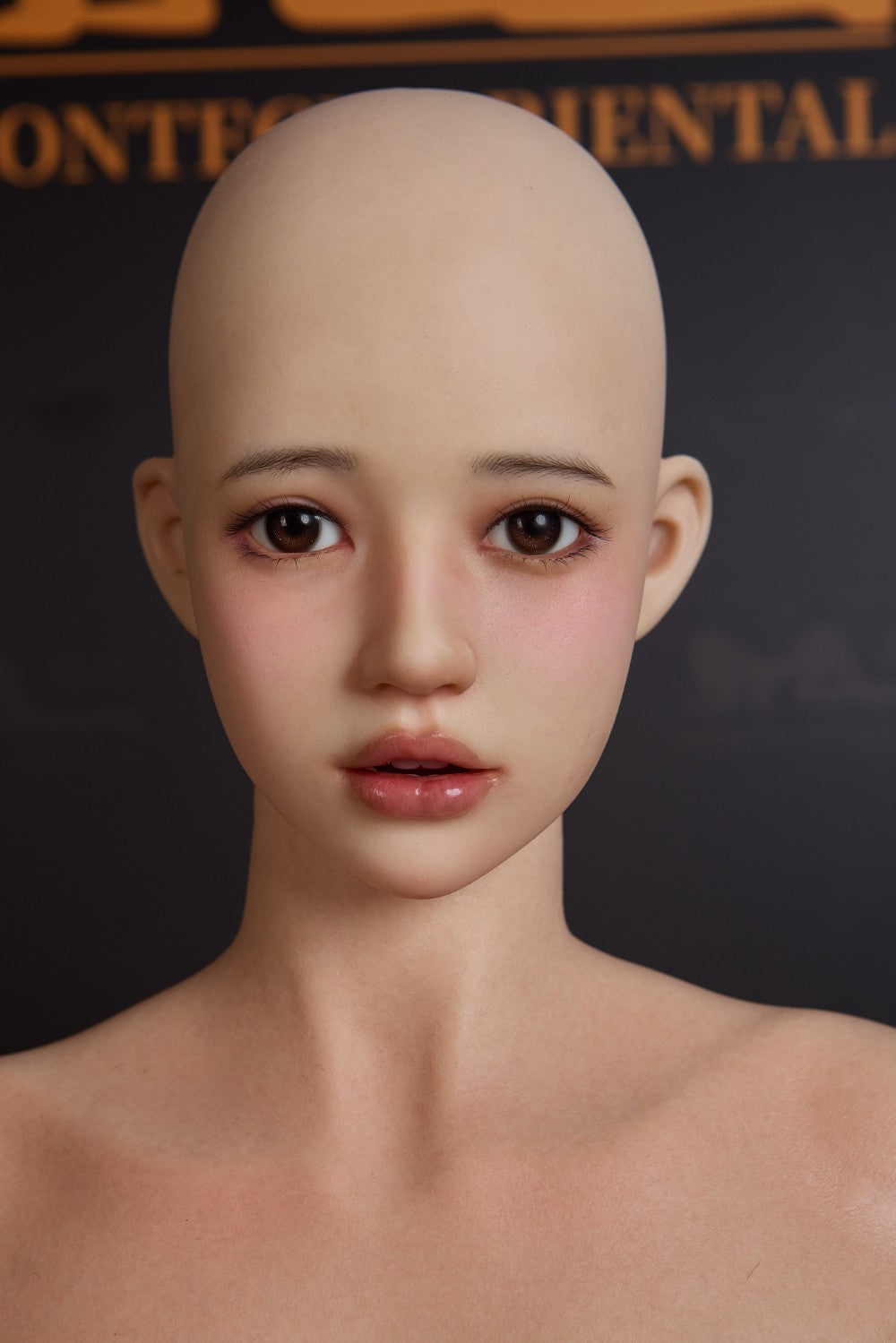 Evie Sex Doll (Irontech Doll 151 cm C-Cup T4 silikoon)