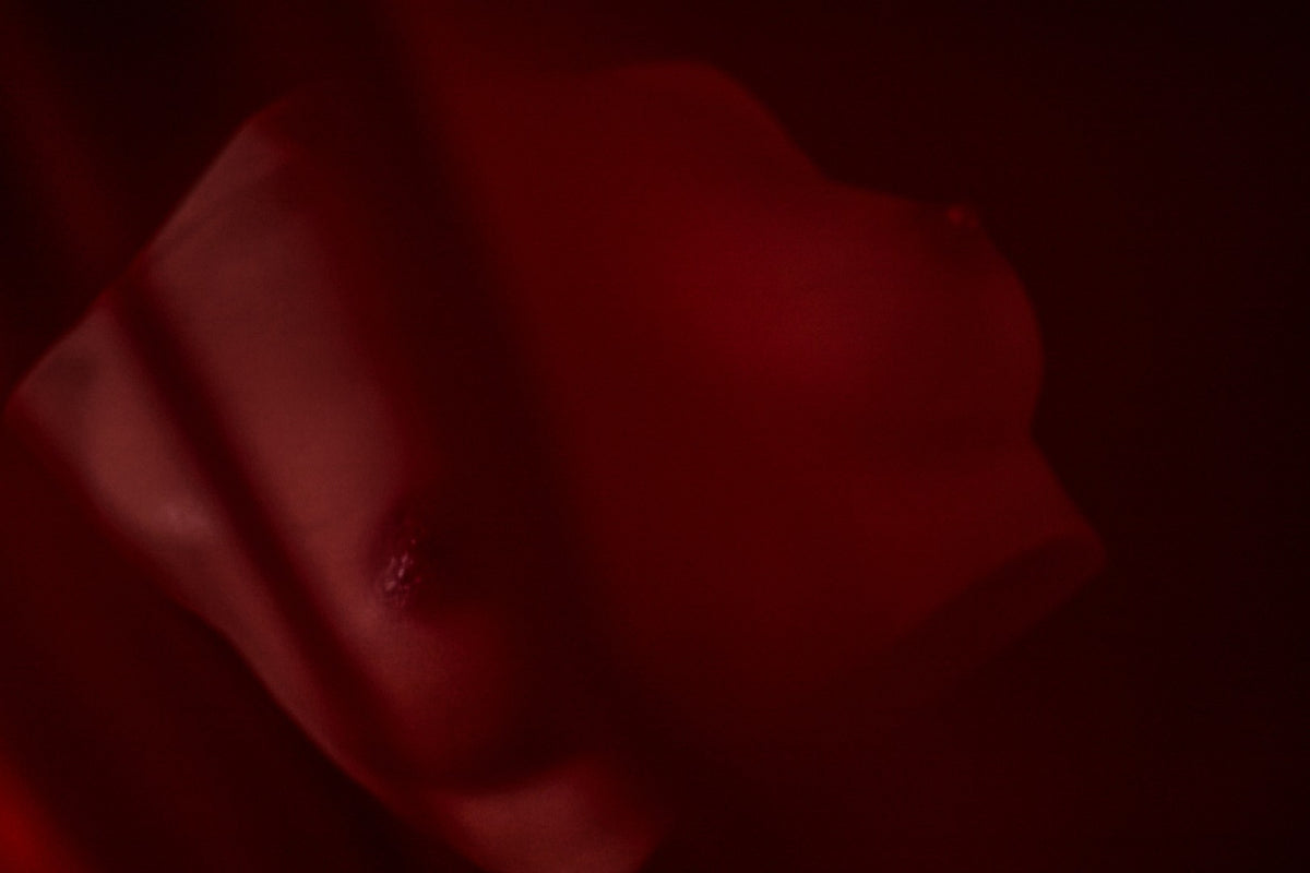 Bröst (S) Torso Sexdocka (Climax Doll Pro B-kupa Silikon)