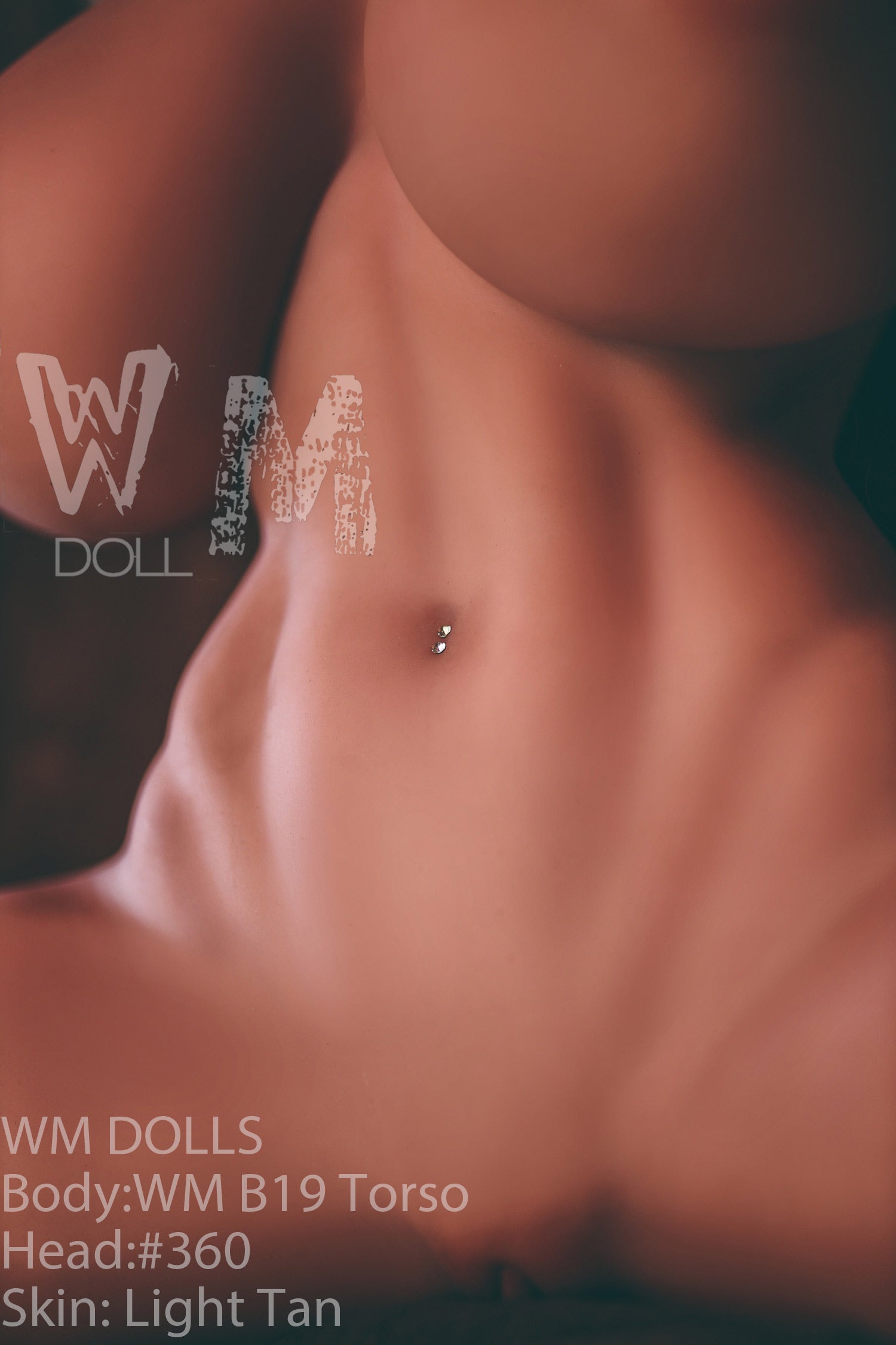 Brandy Sexdocka (WM-Doll Torso B19 89cm J-kupa #360 TPE)