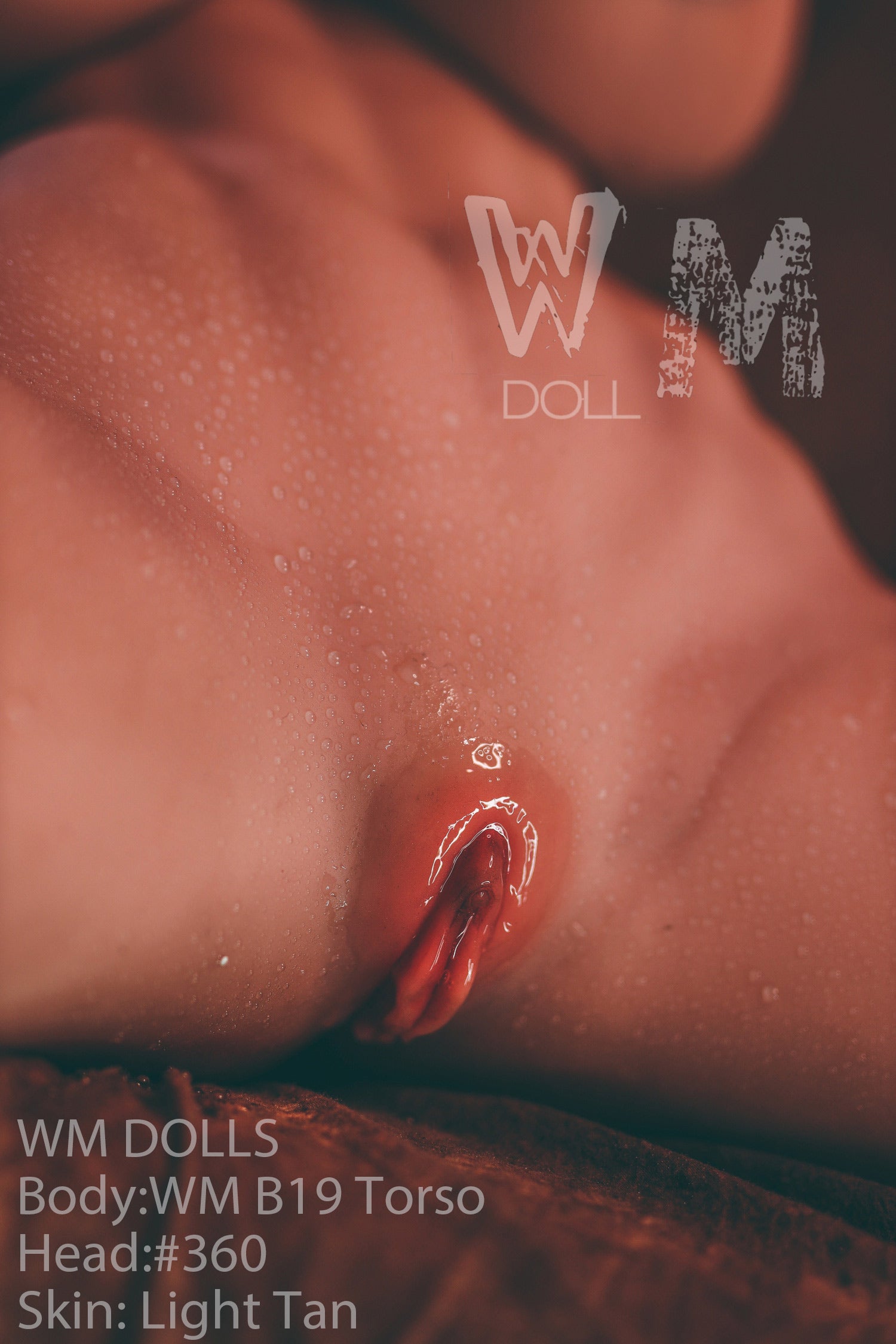 Brandy Sexdocka (WM-Doll Torso B19 89cm J-kupa #360 TPE)